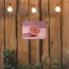 Grapefruit - Roze - Disco - Shiny tuinposter los doek klein -sfeer1