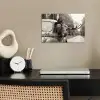 Eland - Auto - Gewei - Zwart - Wit poster papier klein -sfeer1