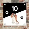 Zwart wit - Huisdier - Cavalier King Charles Spaniël Naambord Vierkant klein -sfeer2