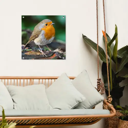 Roodborstje op een Boomstam tuinposter los doek klein -sfeer7