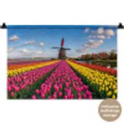 Tulpen - Holland - Molen - Kleurrijk Wandkleed katoen klein -t3d_DE
