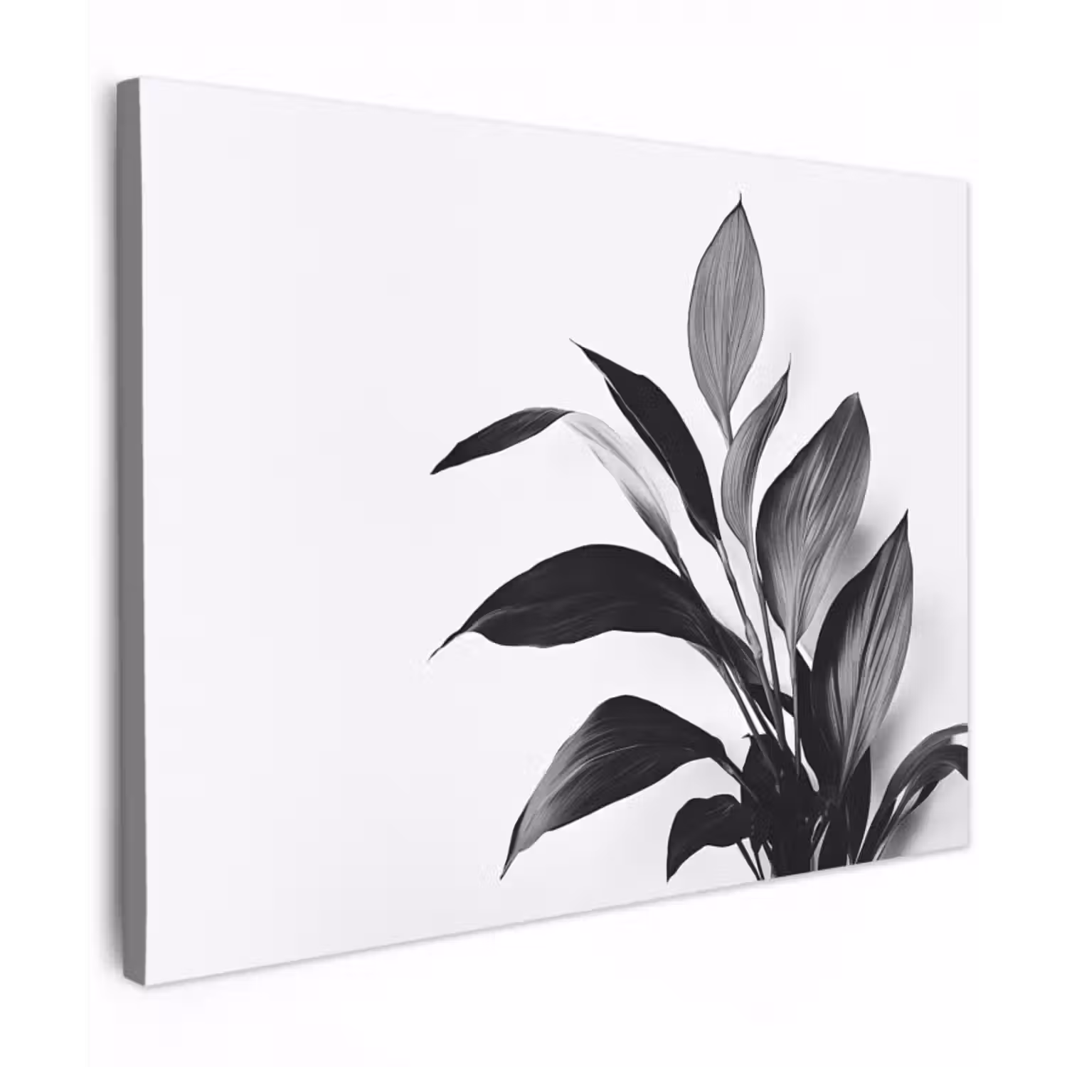 Leinwandbild - Pflanze - Blätter - Minimalistisch - Schwarz