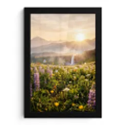 Vlinders - Waterval - Bloemenveld fotolijst zwart zonder passe partout klein -3d