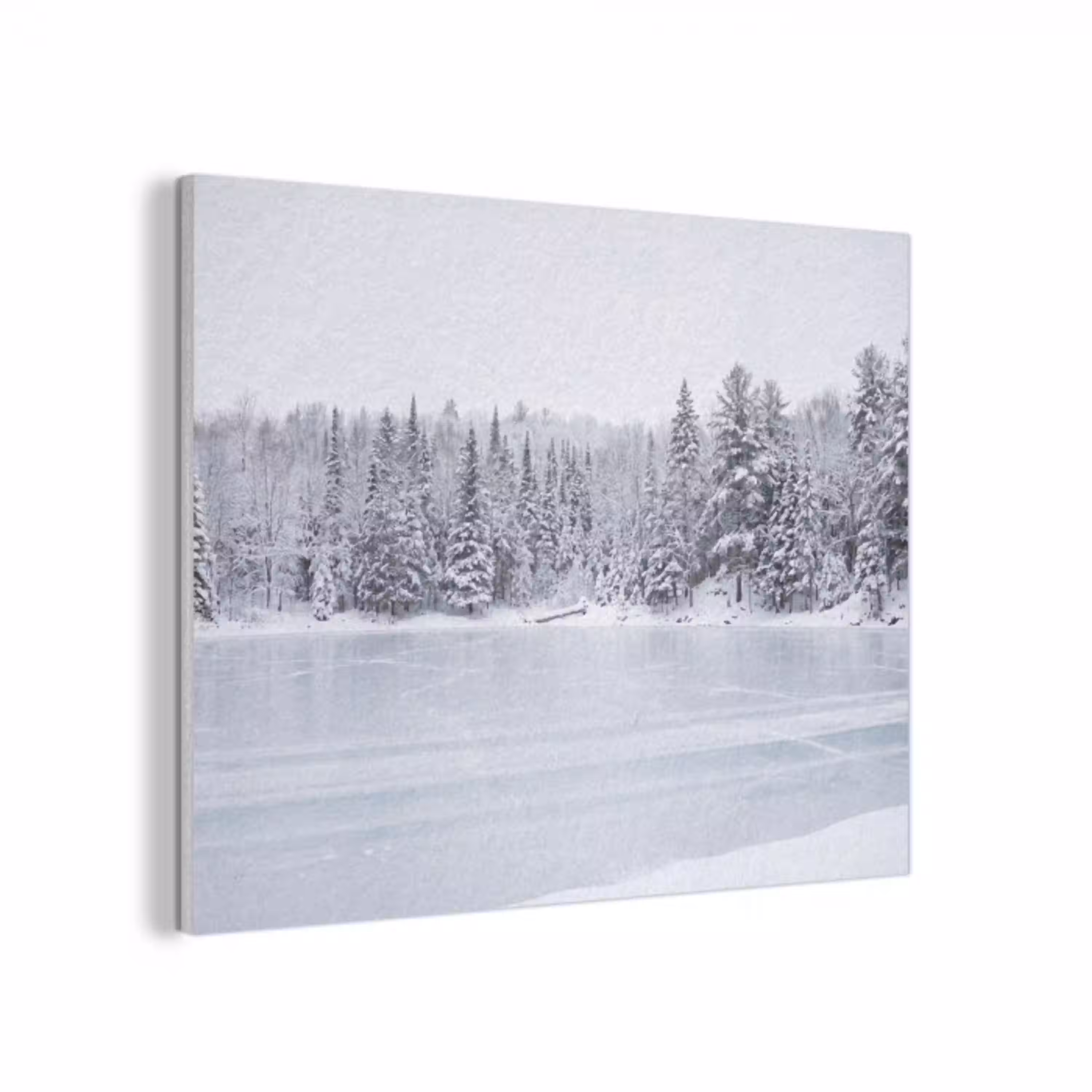 Meer - Dennen - IJs - Winter - Rustgevend PET vilt klein -3d