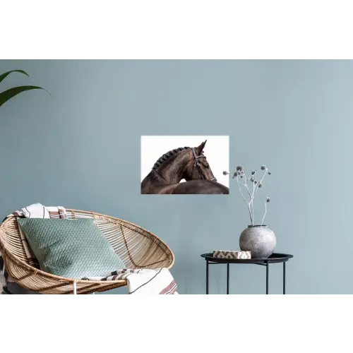 Portret - Paard - Elegant Muursticker klein -plant