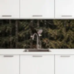 Zeearend - Vliegen - Bos - Natuur keuken achterwand 2 middel -3d
