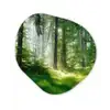 Natuur - Bomen - Bos - Groen - Zon - Gras - Planten Wandcirkel Organisch Forex 3mm klein -3d