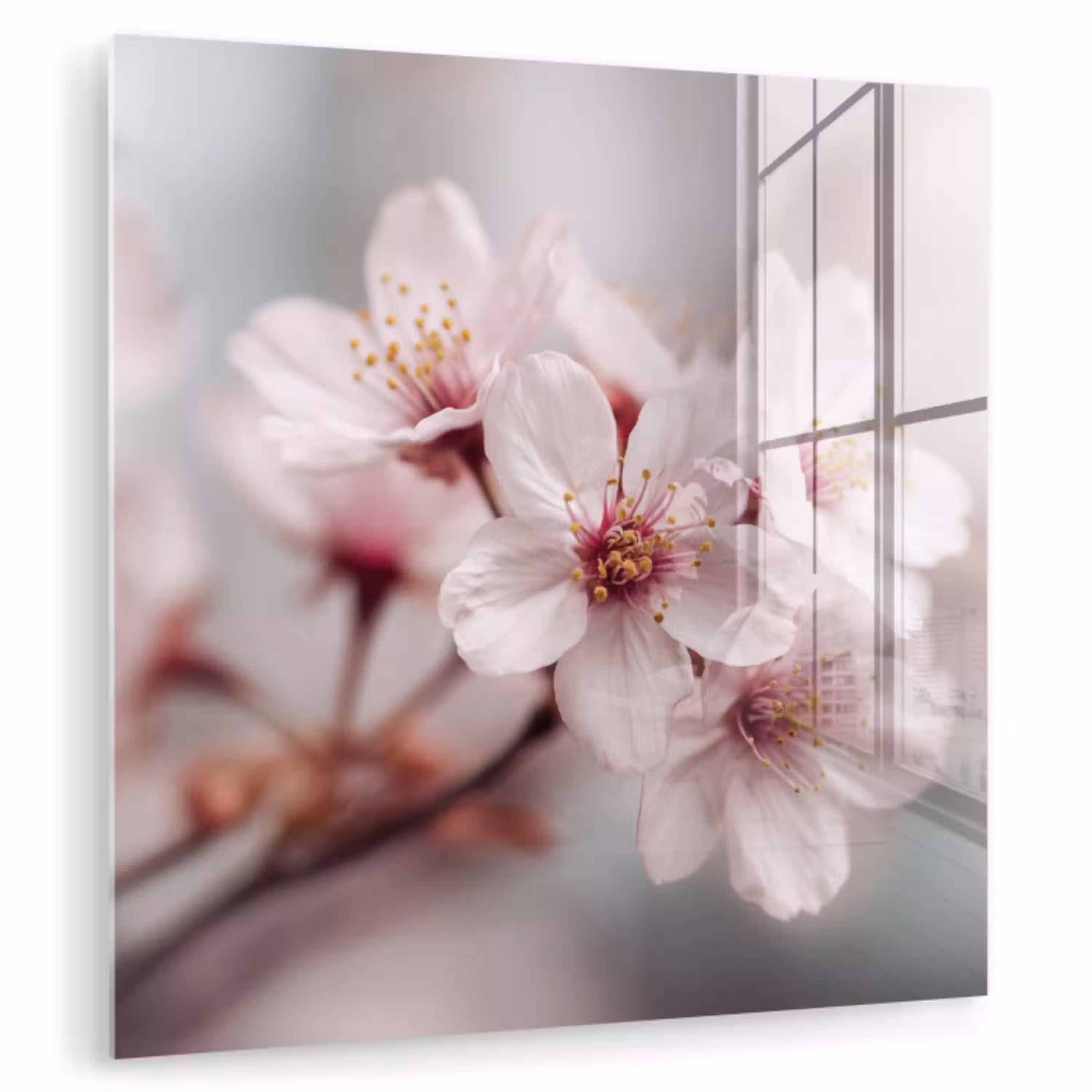 Bloesems - Meeldraden - Geel - Wazig plexiglas 5mm klein -zzzproduct_nieuw