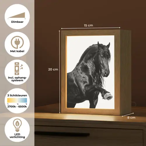 Fries - Hengst - Modern Light Box met kabel (Tafellamp) klein -USP_NL