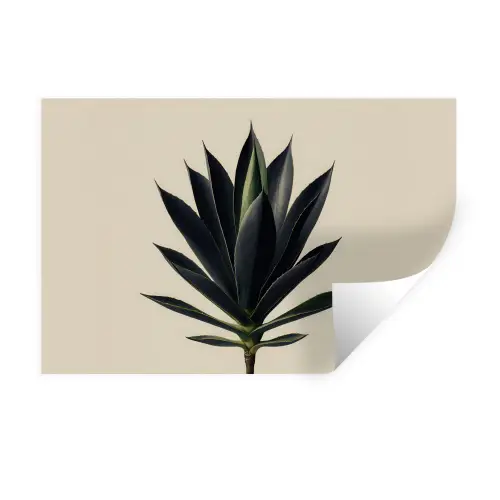 Agaveplant - Symmetrisch - Groen Muursticker klein -3d