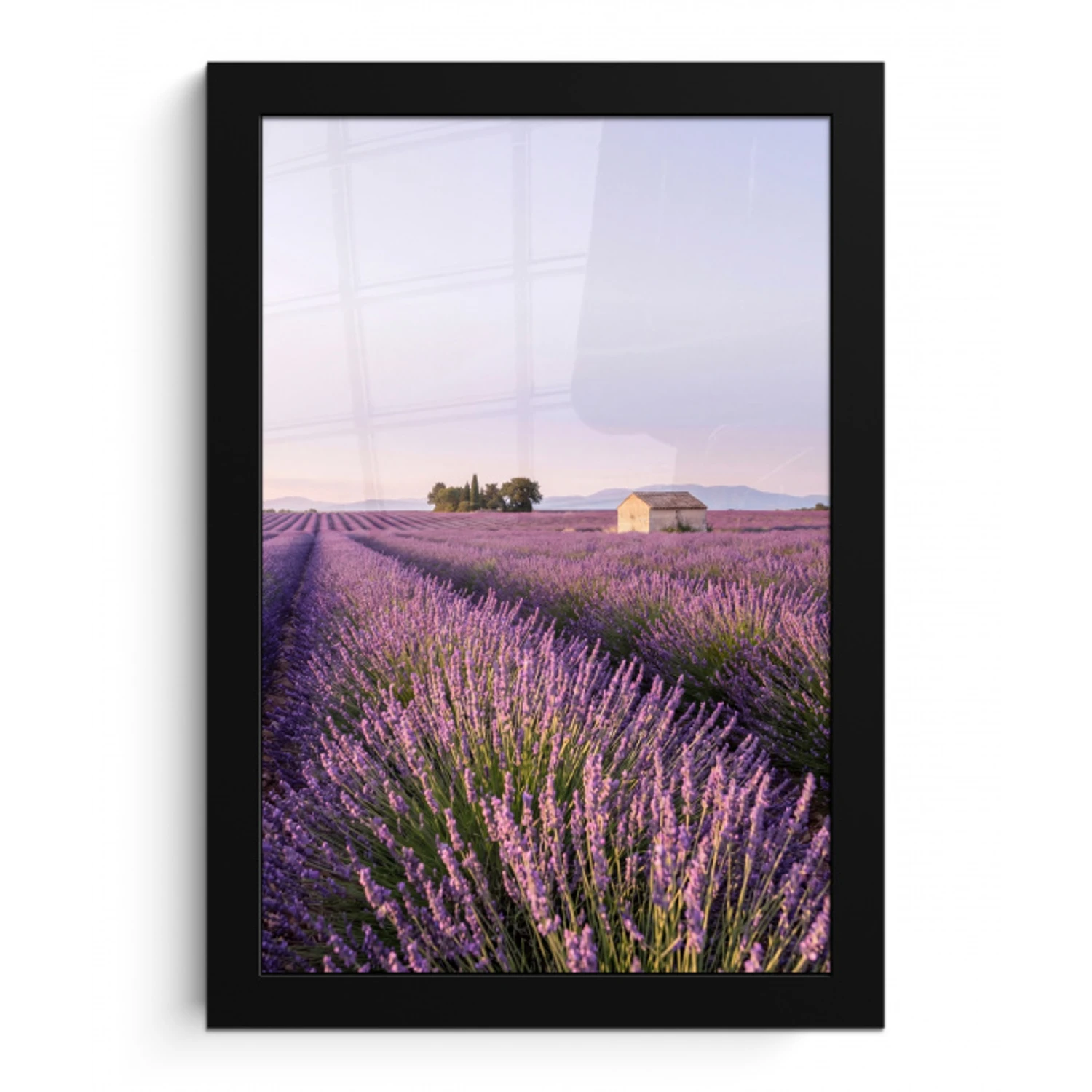 Lavendel - Landschap - Sereen - Paars fotolijst zwart zonder passe partout klein -3d