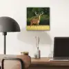 Hert - Gewei - Gras - Natuur - Dieren - Groen aluminium wit klein -sfeer5