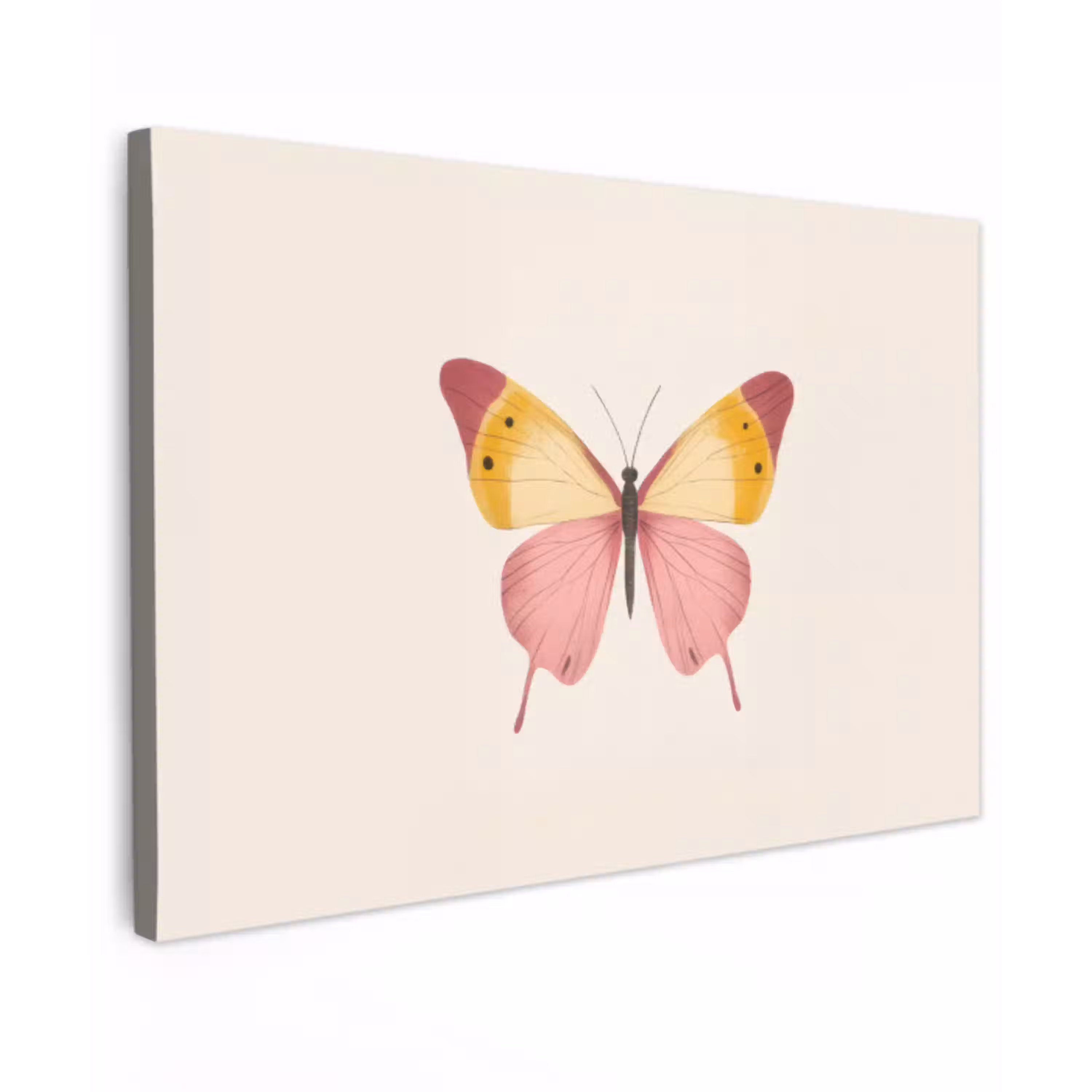 Vlinder - Illustratie - Roze Tuinposter op houten frame 2 cm dik klein -3d