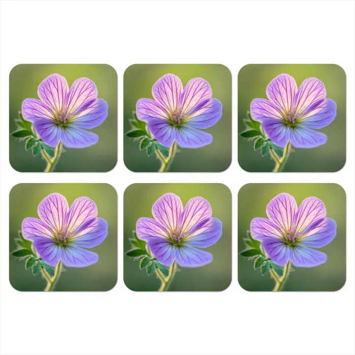 Bloem - Close up - Paars onderzetter kurk middel -3d