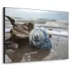 Schelp - Strand - Blauw - Zee Textielframe zwart klein -3d