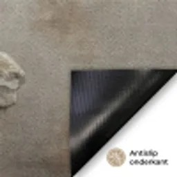 Zwaan - Elegant - Dieren - Wit Deurmat klein -antislip_NL