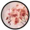 Orchidee - Bloemen - Roze - Bloemblaadjes Fotolijst rond zonder passe partout klein -3d