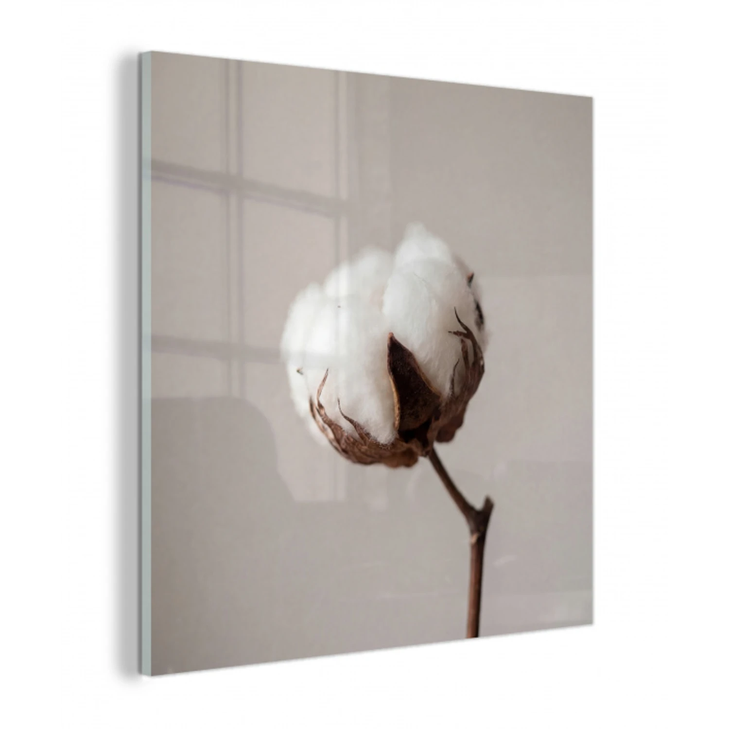 Katoenbol - Minimalistisch - Wit plexiglas 5mm klein -z3d