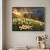 Bloemenveld - Heuvels - Zonsondergang - Berg - Natuur - Wit - Heuvels Textielframe - compleet frame klein -sfeer2
