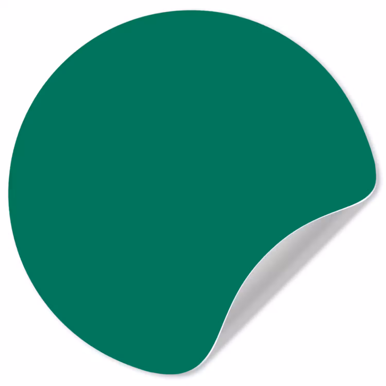 Behangcirkel - Groen - Bos - Kleuren