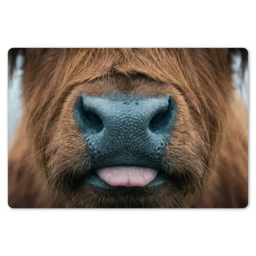 Schotse hooglander - Neus - Bruin Placemat vinyl groot -zzsfeer1_Kitchenyeah-website