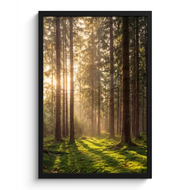 Poster met lijst - Bos - Gras - Zonlicht