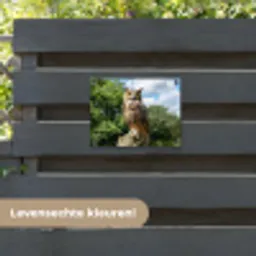 Uil - Boomstronk - Bos - Lucht tuinposter los doek klein -sfeer3