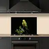 Parkiet - Tak - Bladeren - Geel keuken achterwand spatscherm klein -sfeer1