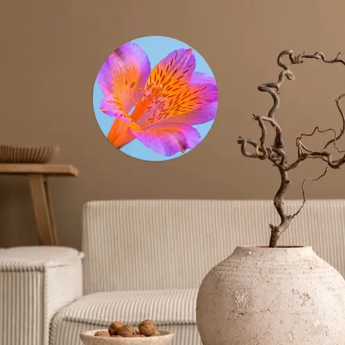 Bloem - Detail - Kleurrijk Wandcirkel behangsticker klein -sfeer1