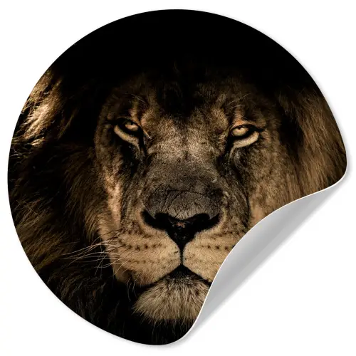 Leeuw - Dieren - Zwart - Portret Wandcirkel behangsticker klein -3d