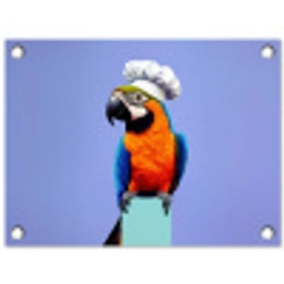 Papegaai - Koksmuts - Vogel - Leuk tuinposter los doek klein -3d