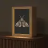 Mot - Bladachtig - Grijs Light Box met kabel (Tafellamp) klein -z3d_website