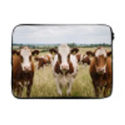 Koeien - Portret - Weide - Boerderij - Nieuwsgierig laptophoes neopreen klein -3d