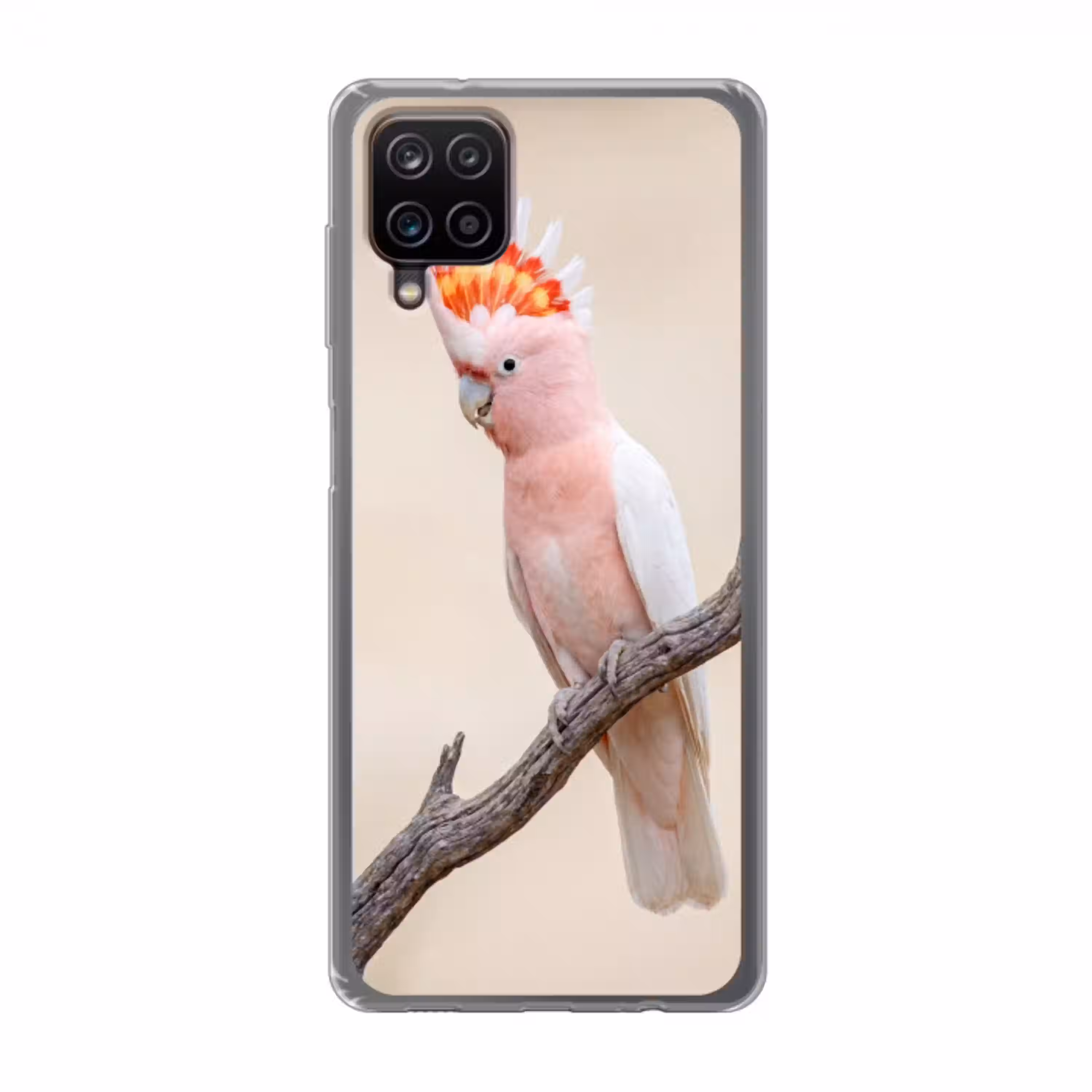 Papagaai - Tak - Roze Telefoonhoesje Samsung Galaxy A12 klein -3d