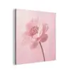 Bloem - Pioenroos - Roze aluminium wit klein -3d