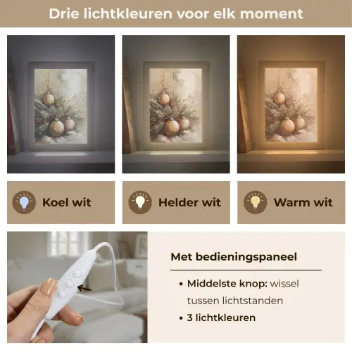 Kerst - Kerstballen - Beige - Goud Light Box met kabel (Tafellamp) klein -USP_lichtkleurNL