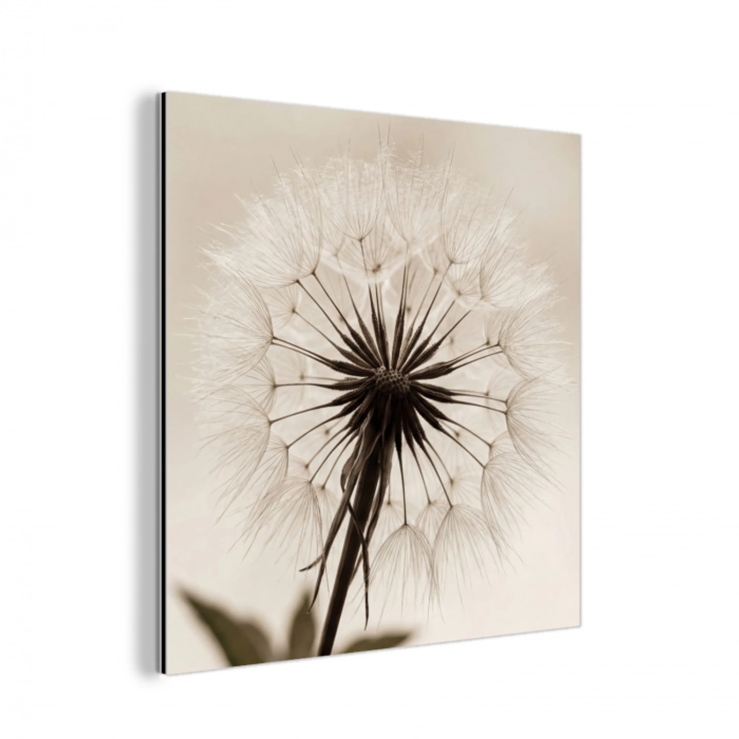 Paardenbloem - Minimalistisch - Wit aluminium wit klein -3d