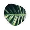 Tropisch - Inductie mat - Natuur - Inductie beschermer - Jungle Wandcirkel Organisch Aluminium middel -3d