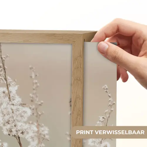 Bloemen - Wit - Planten Light Box met batterij (Wandlamp) middel -USP_websiteprintNL