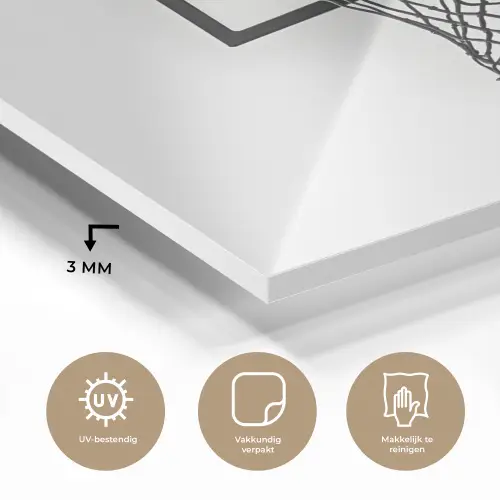 Basketbalbord - Minimalistisch - Zwart plexiglas 5mm klein -sfeer2