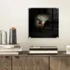 Vogel - Adelaar - Roofvogels - Oog - Snavel - Licht plexiglas 5mm klein -sfeer1