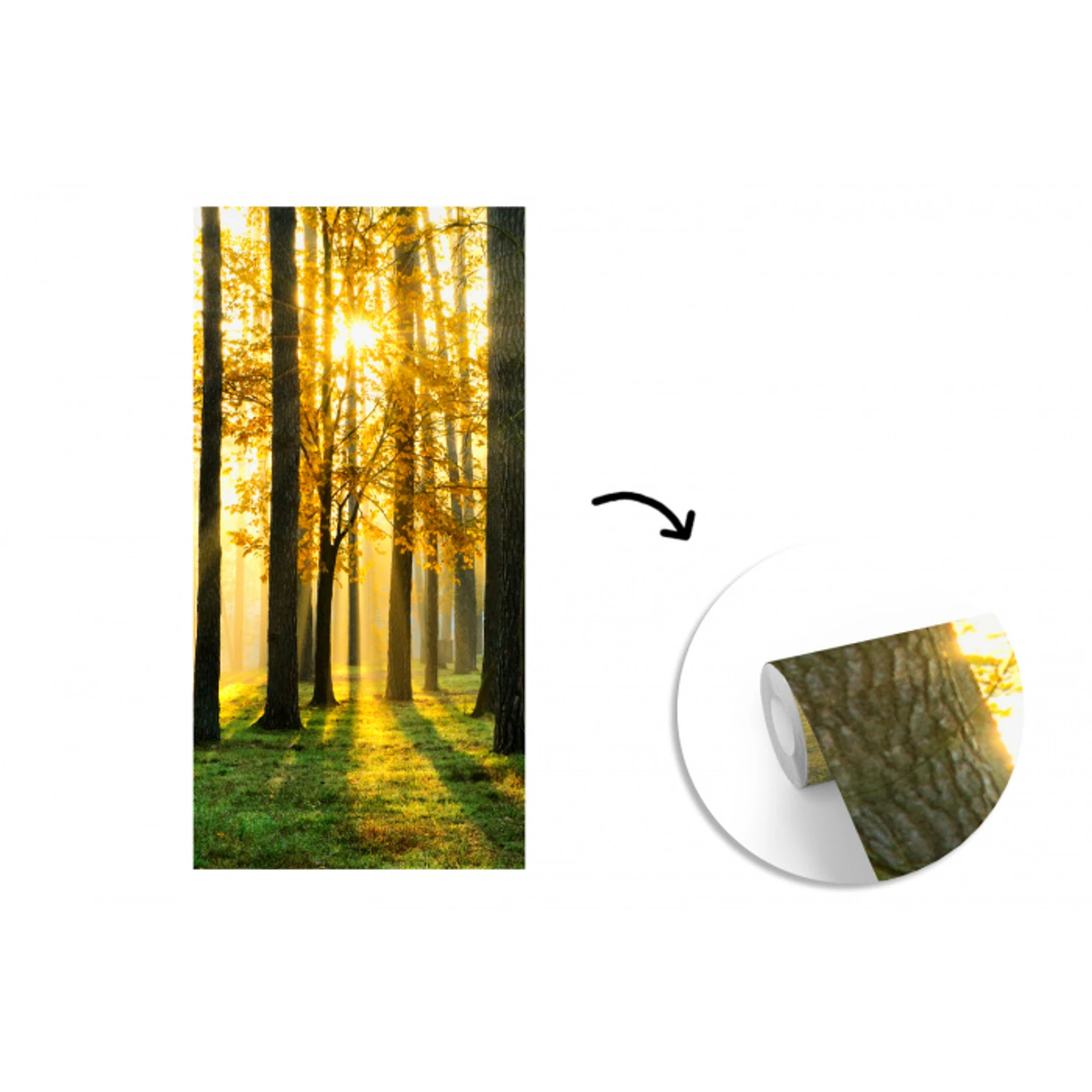 Bos - Zon - Bomen - gras - Landschap fotobehang vinyl groot -3d
