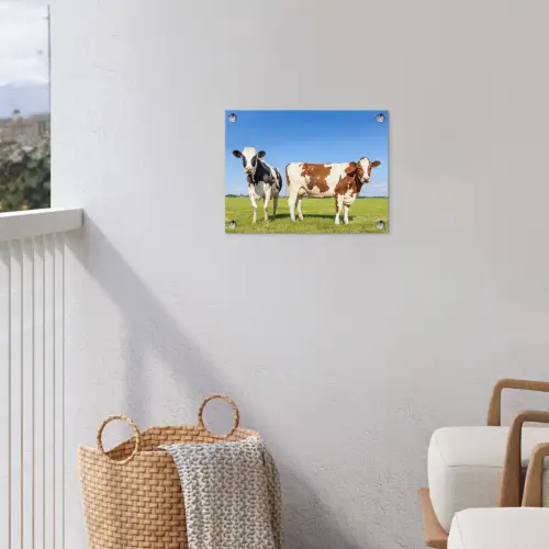 Koeien - Boerderij - Gras- Natuur - Dieren tuinposter los doek klein -sfeer8