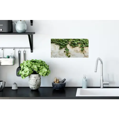 Klimop - Muur - Groen Muursticker klein -keuken