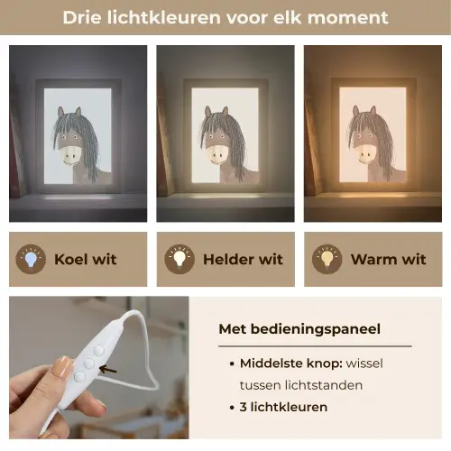 Paard - Dier - Pastel kleuren - Paarden Light Box met kabel klein -USP_lichtkleurNL