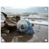 Schelp - Strand - Blauw - Zee tuinposter los doek klein -3d