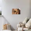 Paard - Oog - Bruin Tuinposter op houten frame 2 cm dik klein -sfeer1