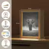 Olifant - Zwart - Wit - Rook Light Box met kabel (Tafellamp) klein -USP_NL