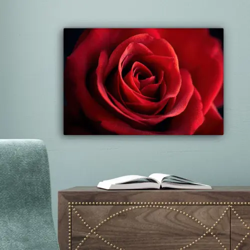 Rood - Roos - Romantisch canvas 2cm klein -sfeer4