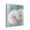 Paardenbloemen - Pluisjes - Wit aluminium wit klein -3d